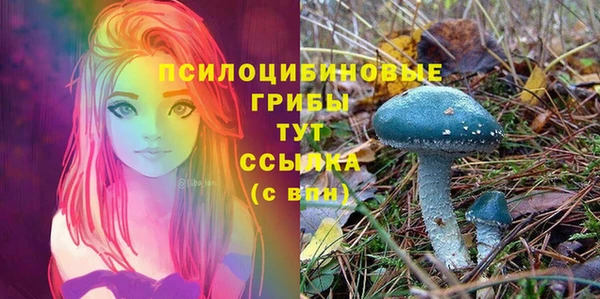 шишки Арсеньев