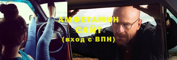 шишки Арсеньев