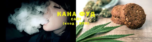 шишки Арсеньев