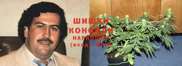 шишки Арсеньев