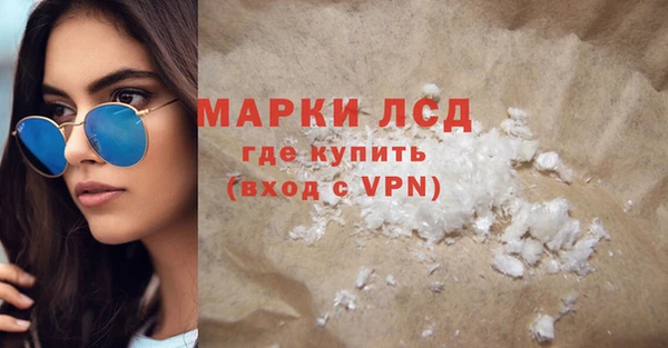 шишки Арсеньев