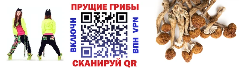 гидра ТОР  Артёмовск  Галлюциногенные грибы MAGIC MUSHROOMS 